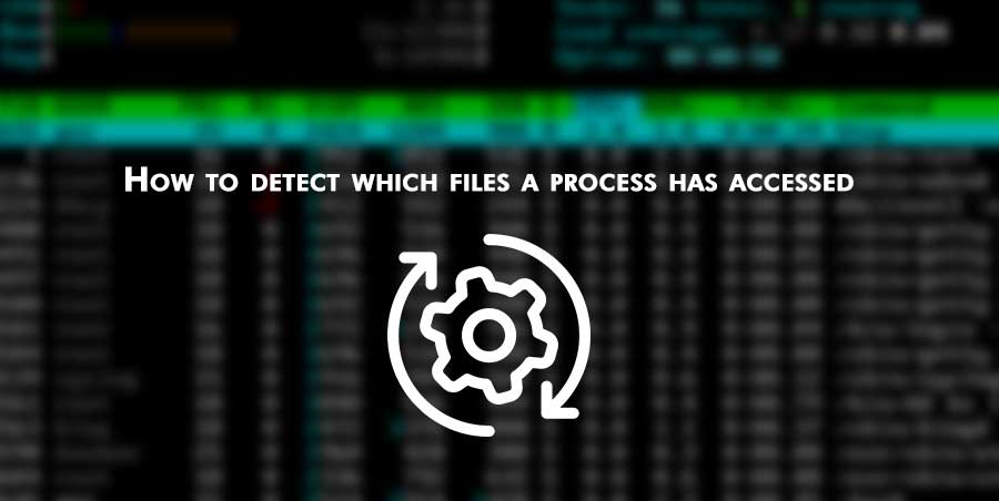 how to detect which files a process has accesssed