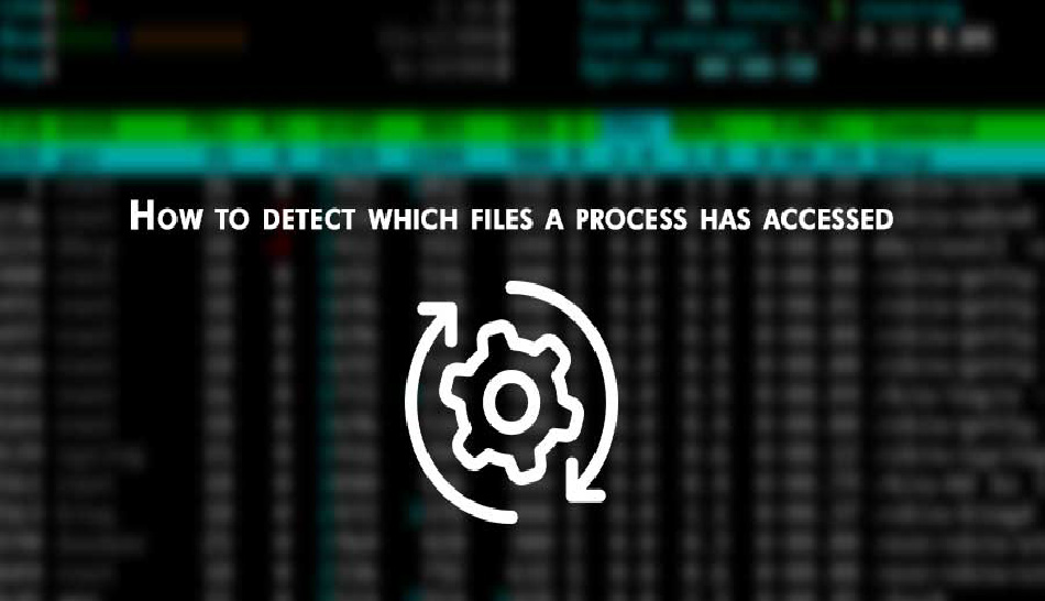 how to detect which files a process has accesssed